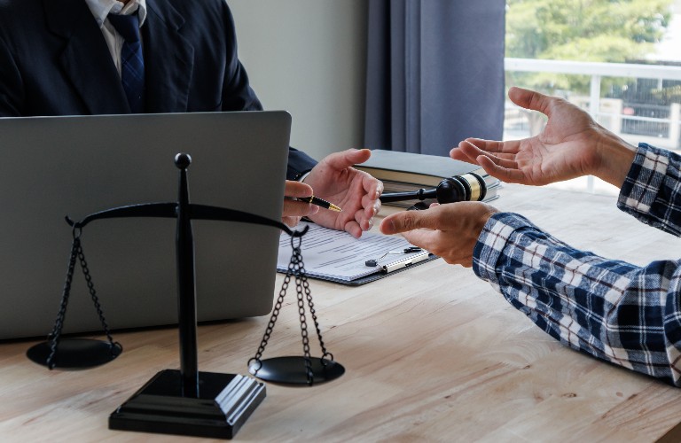 lawyer is consulting client